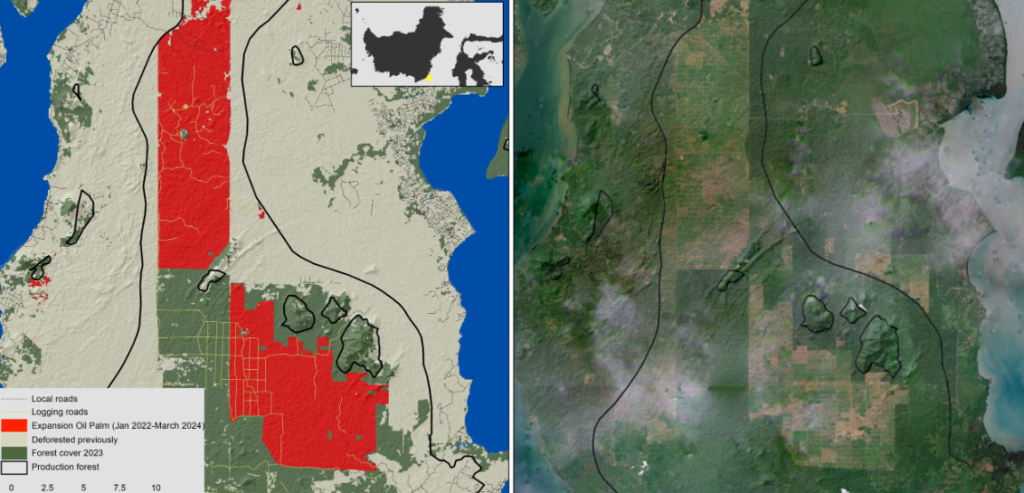 The Largest Case Of Deforestation Industrial Palm Oil In Indonesia