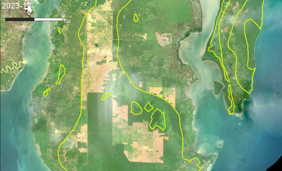 The Largest Case Of Deforestation Industrial Palm Oil In Indonesia 5